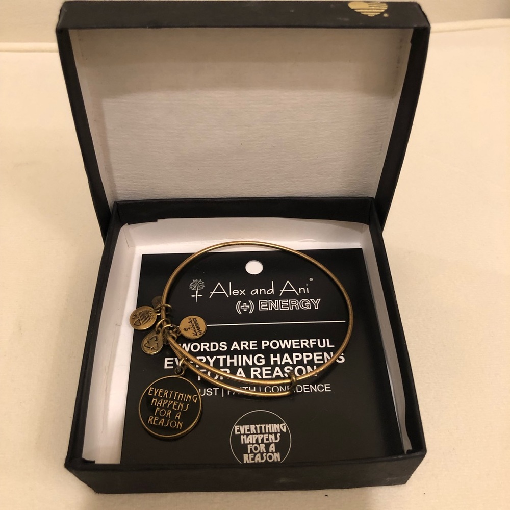 ALEX AND ANI everything happens for a reason